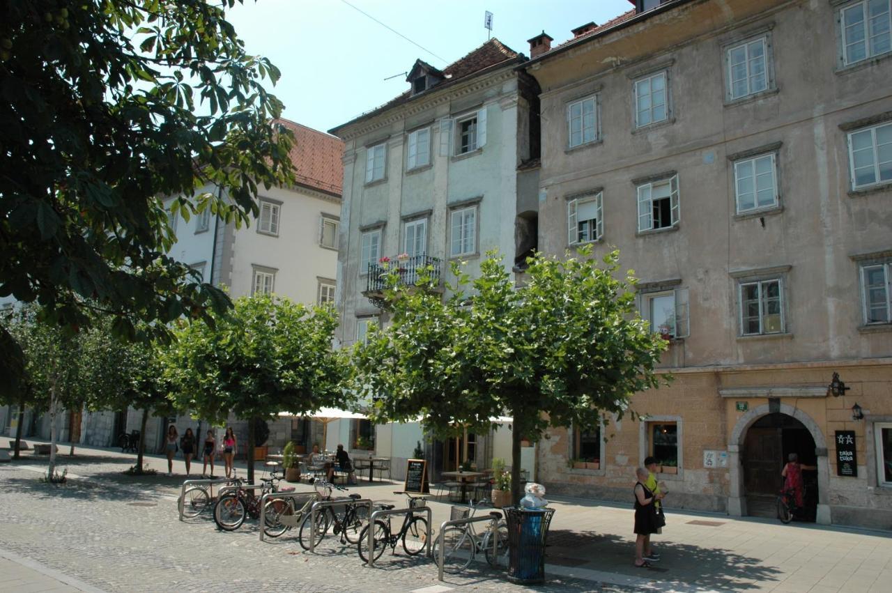 Vitez Apartment I Любляна Екстер'єр фото